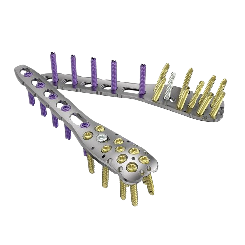 Implant Detail 1